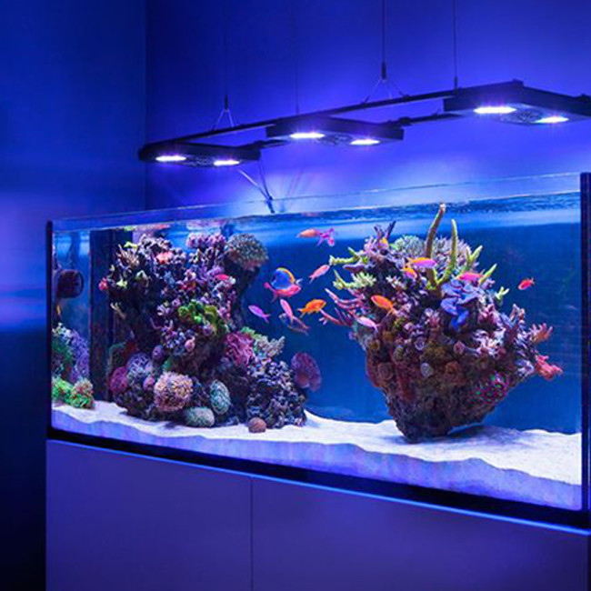 Custom Color 12mm Aquarium Lembar Akrilik Kristal Plexiglass Lembar Pmma