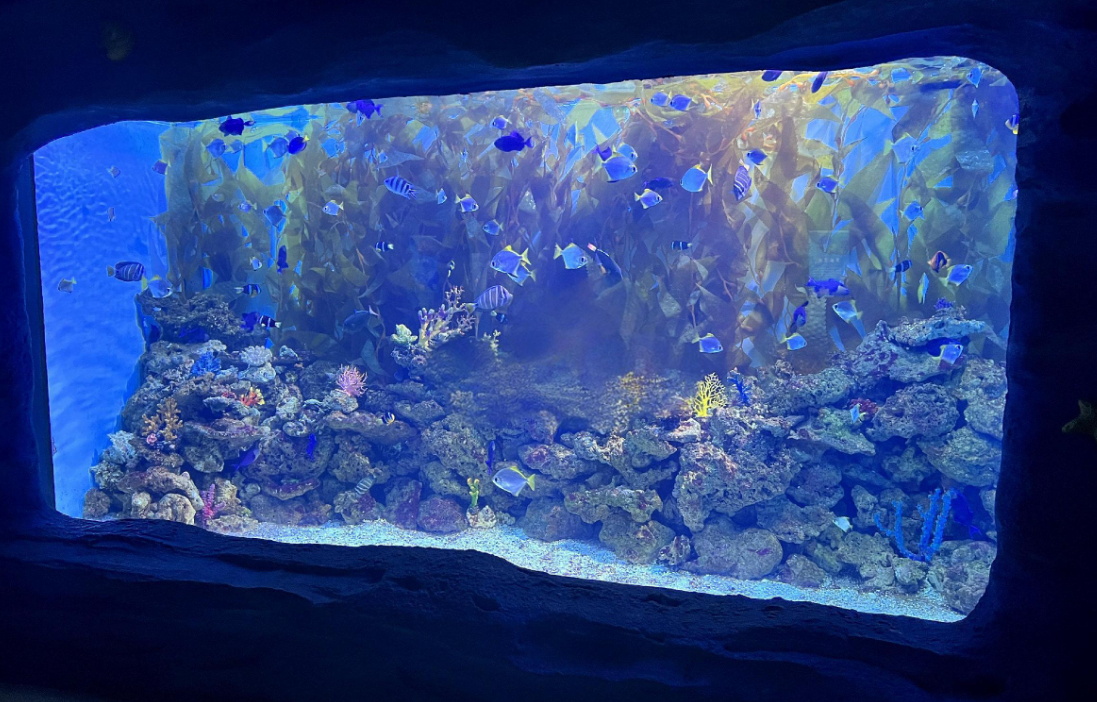 Heavy Duty tebal lempeng acrylic cast Panel transparan besar untuk akuarium Oceanarium terowongan bawah air melihat jendela